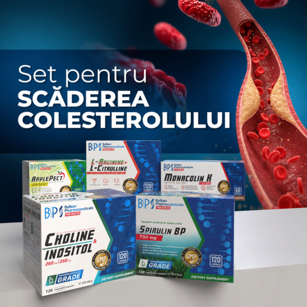 SET: Cholesterol Balance