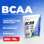BCAA 2:1:1, 500g, powder